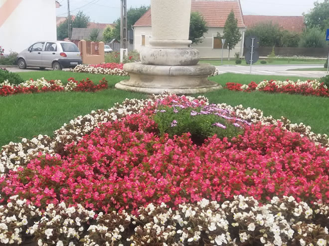 Locuinţă unifamilială